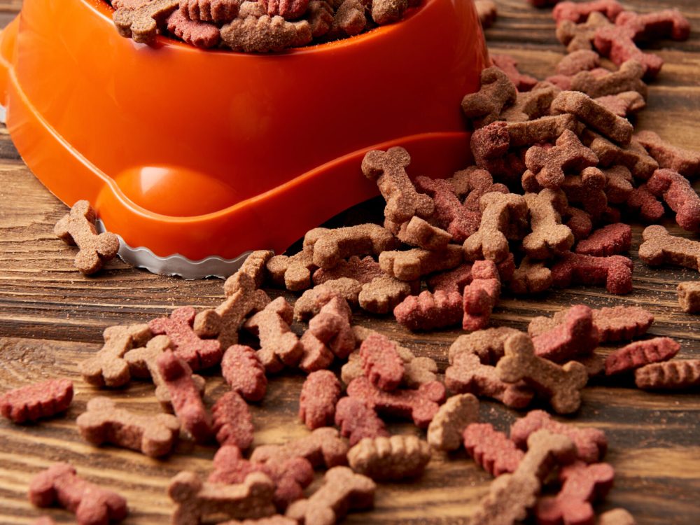 selective focus of plastic bowl with pile of dog food on wooden table